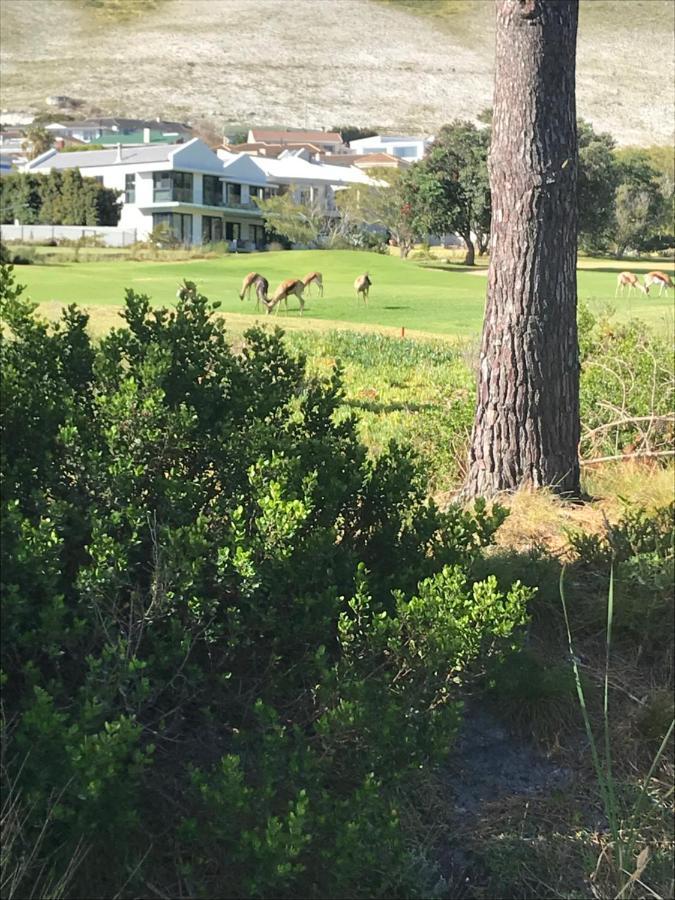 Bed and Breakfast Francolin Manor Hermanus Exterior foto